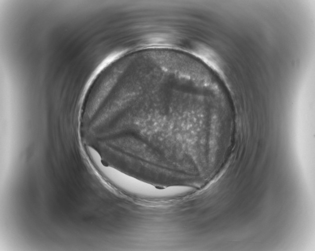 X0000084561333200703161657