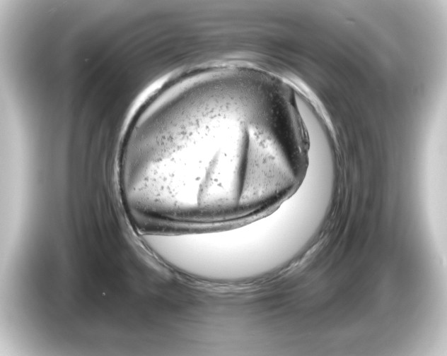 X0000084561336200703161657