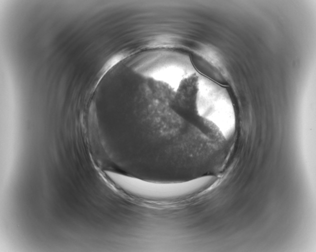 X0000084561337200703161657