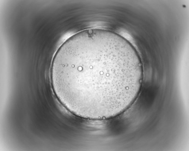 X0000084561338200703161657