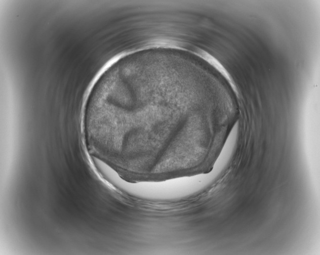 X0000084561339200703161657