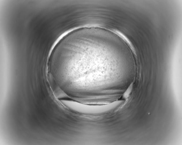 X0000084561340200703161657