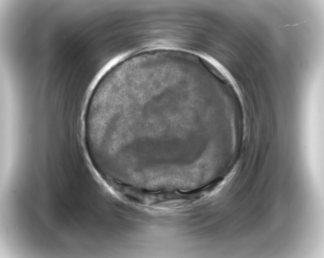 X0000084561341200703161657