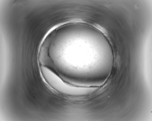 X0000084561342200703161657