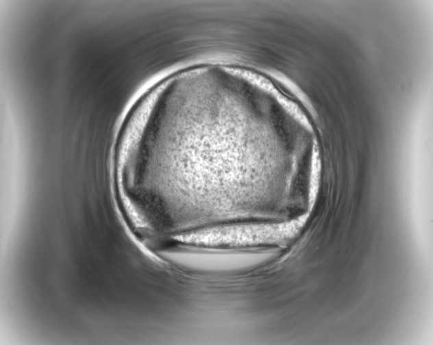 X0000084561343200703161657