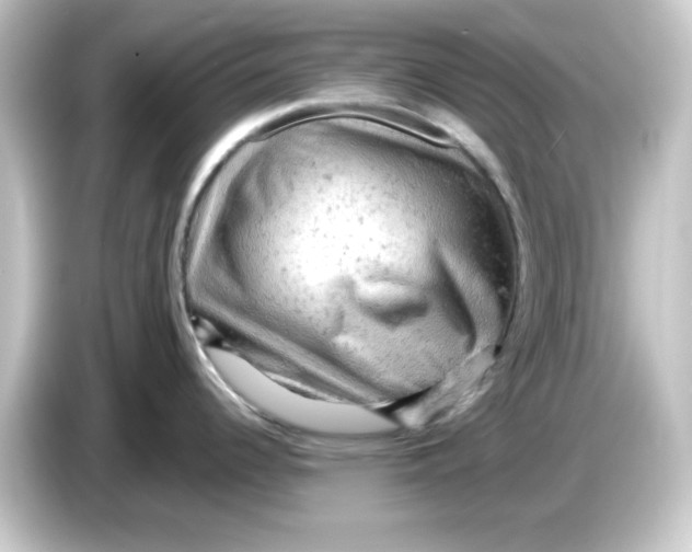 X0000084561344200703161657