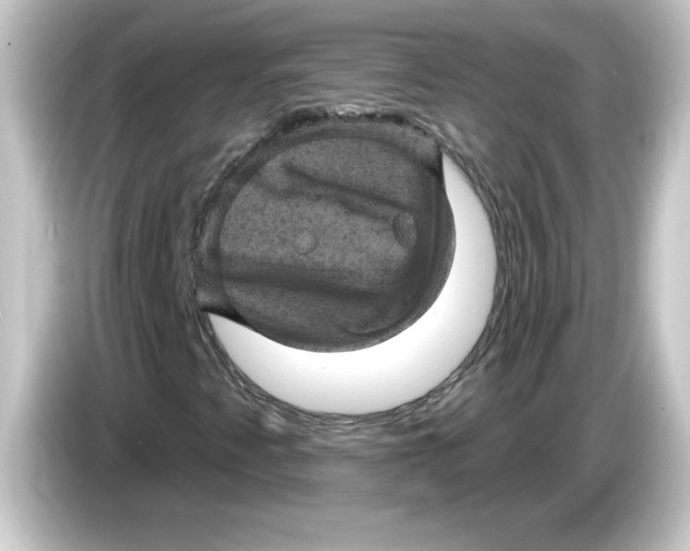 X0000084561345200703161657