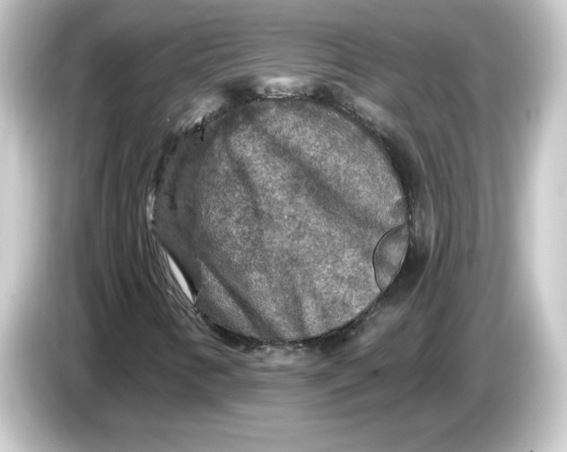 X0000084561346200703161657