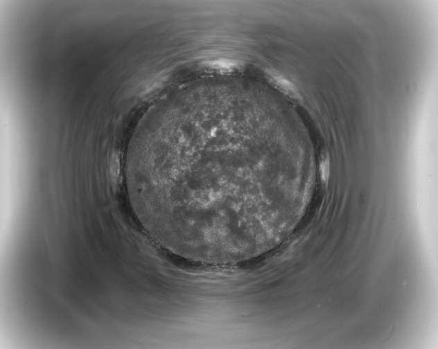 X0000084561347200703161657