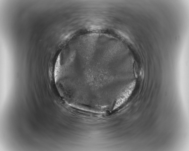 X0000084561348200703161657