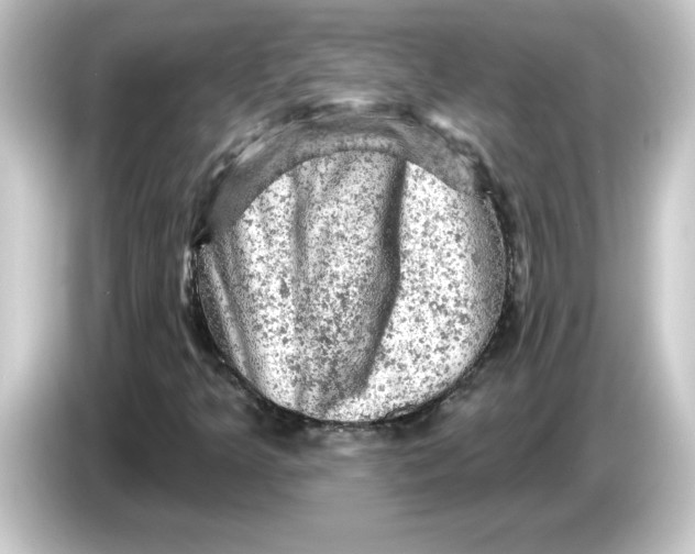 X0000084561349200703161657