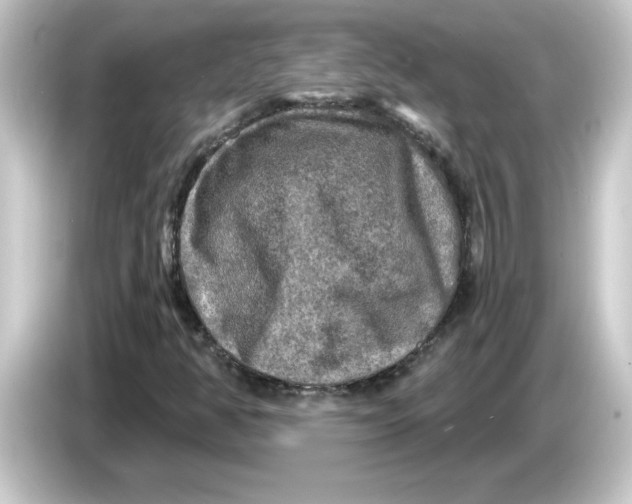 X0000084561350200703161657