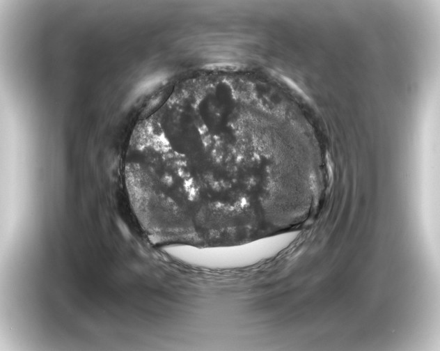 X0000084561351200703161657