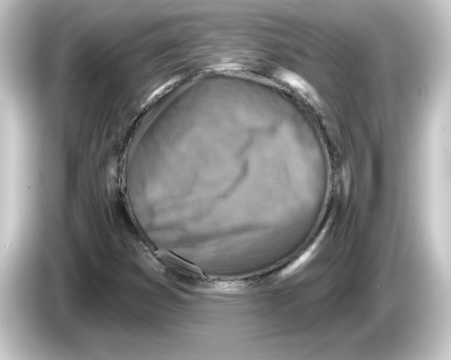 X0000084561353200703161657