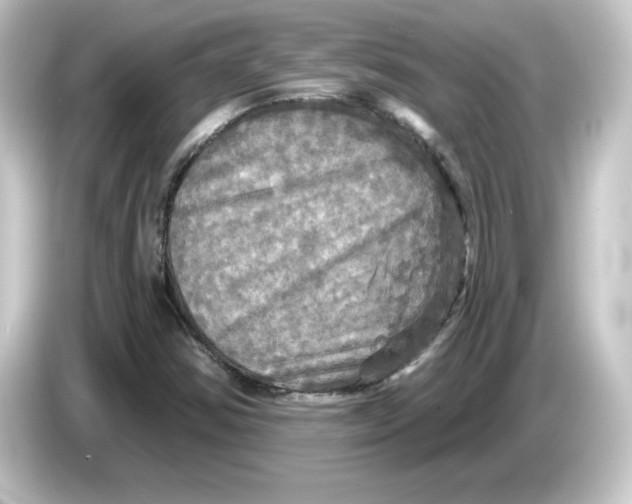 X0000084561354200703161657