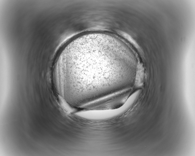 X0000084561356200703161657