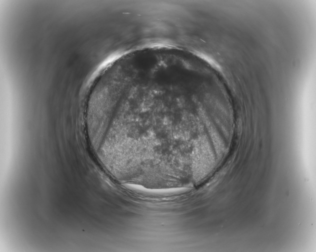 X0000084561359200703161657