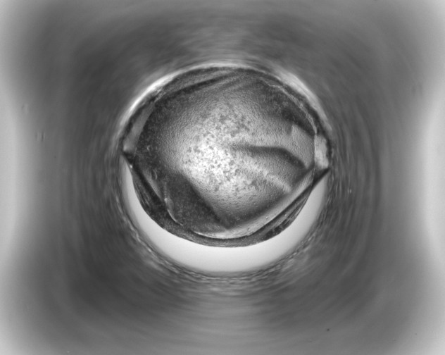 X0000084561360200703161657