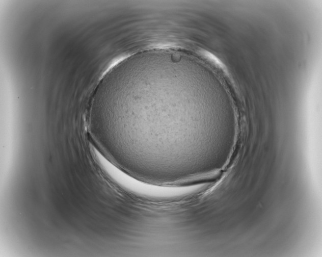 X0000084561361200703161657