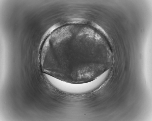 X0000084561362200703161657