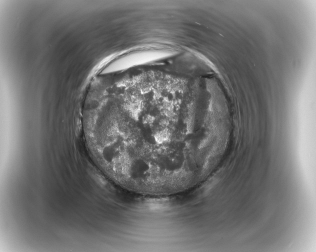 X0000084561363200703161657