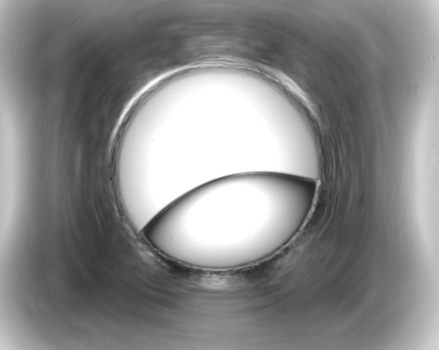 X0000084561364200703161657