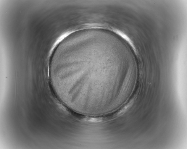 X0000084561365200703161657