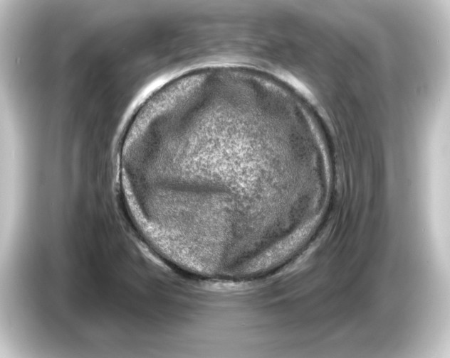 X0000084561366200703161657