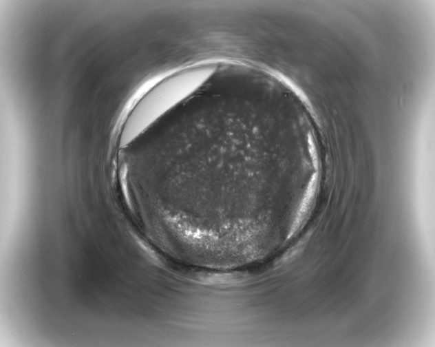 X0000084561367200703161657