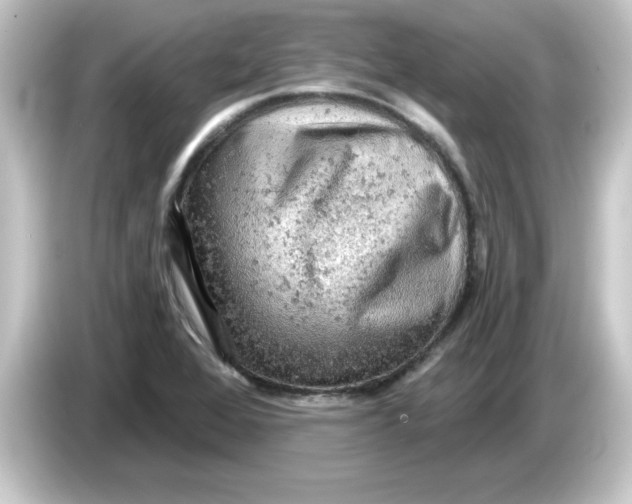 X0000084561368200703161657