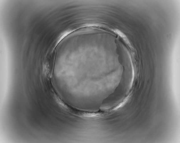 X0000084561369200703161657