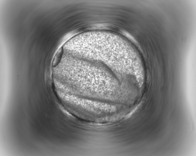 X0000084561370200703161657