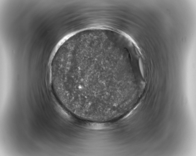 X0000084561371200703161657