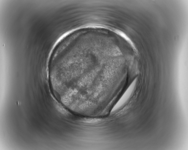 X0000084561372200703161657