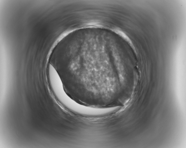 X0000084561373200703161657