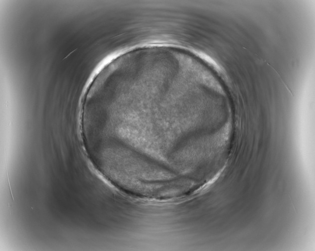 X0000084561374200703161657