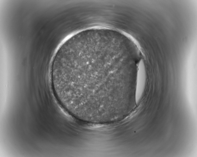 X0000084561375200703161656