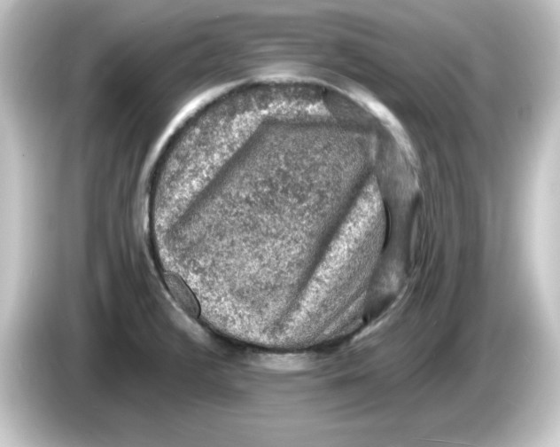 X0000084561376200703161656