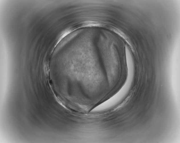 X0000084561377200703161656