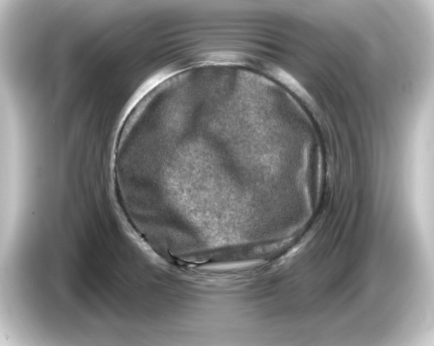 X0000084561378200703161656