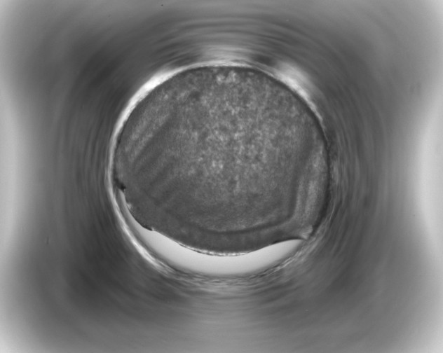 X0000084561379200703161656