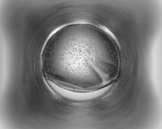 X0000084561380200703161656