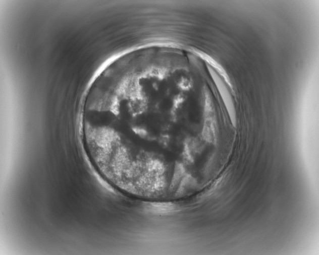 X0000084561383200703161656