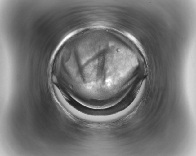 X0000084561384200703161656