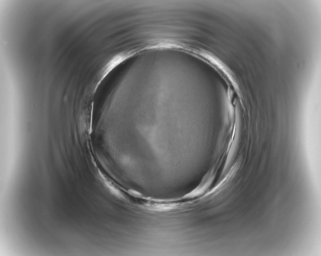 X0000084561385200703161656