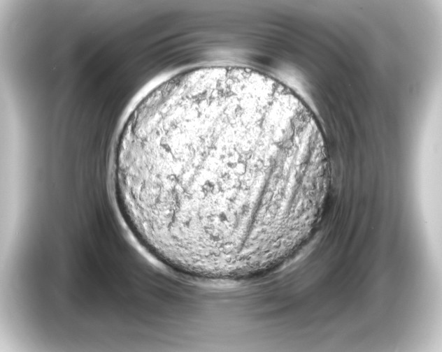 X0000084561387200703161656