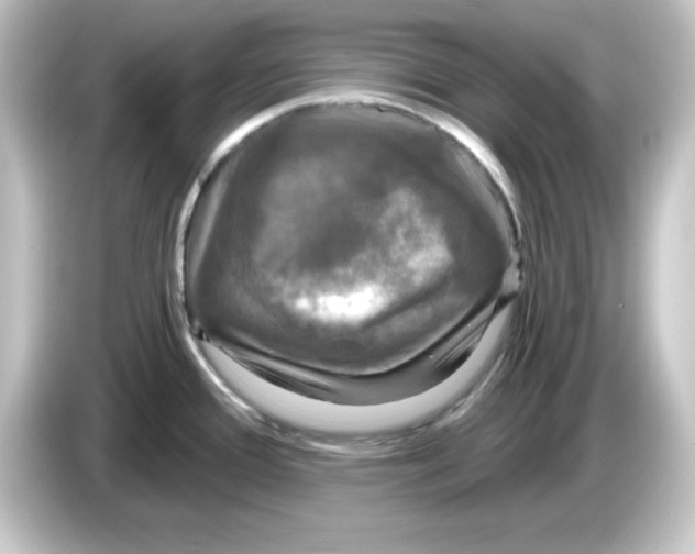 X0000084561388200703161656