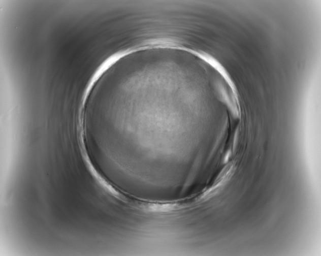 X0000084561389200703161656