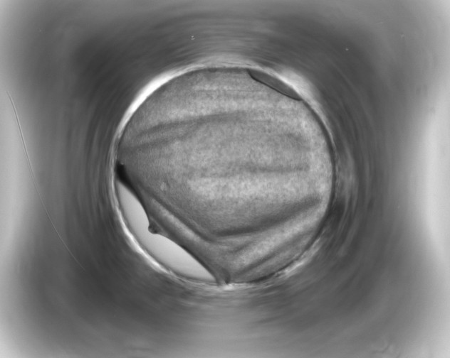 X0000084561390200703161656