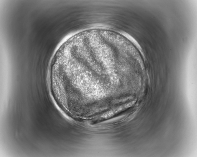 X0000084561391200703161656